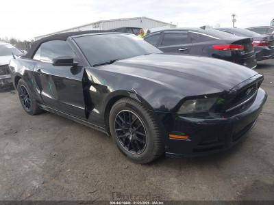 Ford Mustang 2014 1ZVBP8EM1E5262552