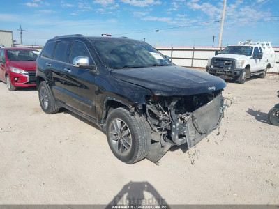 Jeep Grand cherokee 2019 1C4RJEBG1KC657211