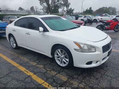 Nissan Maxima 2009 1N4AA51E39C839831