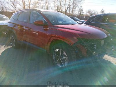 Hyundai Tucson 2025 5NMJBCDE0SH496572