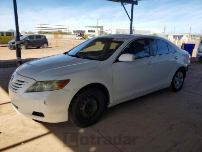 Toyota Camry 2007 4T1BE46K77U520172