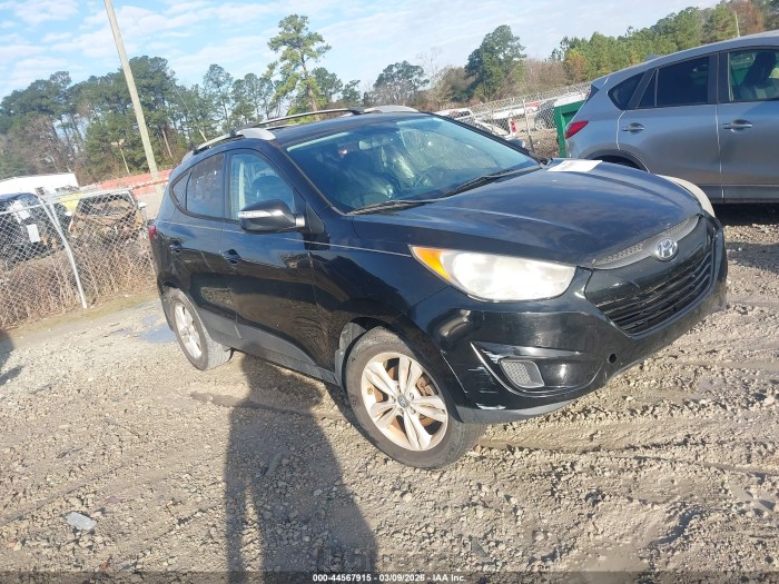 Hyundai Tucson 2012 VIN KM8JU3AC4CU436989