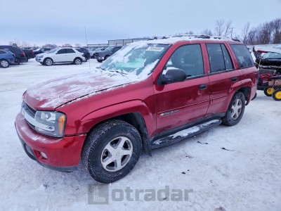 Chevrolet Trailblazer 2003 VIN 1GNDT13SX32366544