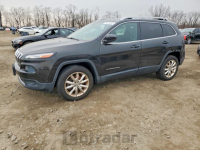 Jeep Grand cherokee 2014 1C4PJMDS2EW166667