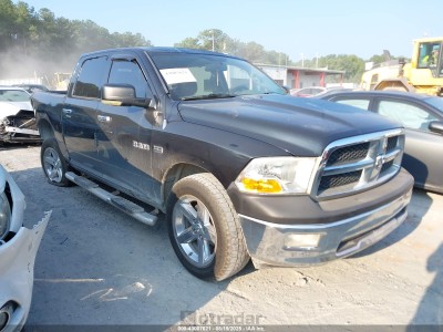 Dodge Ram 2009 1D3HB13T19S717234