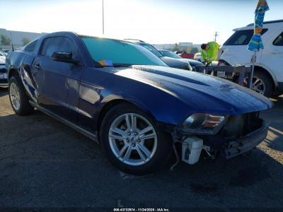 Ford Mustang 2010 1ZVBP8AN0A5168526