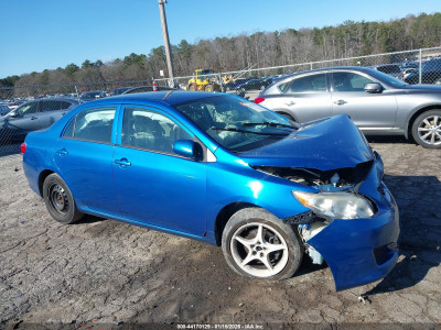 Toyota Corolla 2010 2T1BU4EEXAC321690