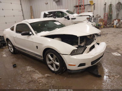 Ford Mustang 2011 1ZVBP8AMXB5112506