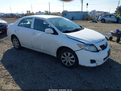 Toyota Corolla 2010 2T1BU4EE0AC379629