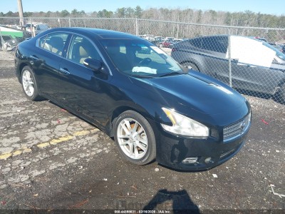 Nissan Maxima 2010 1N4AA5APXAC868863
