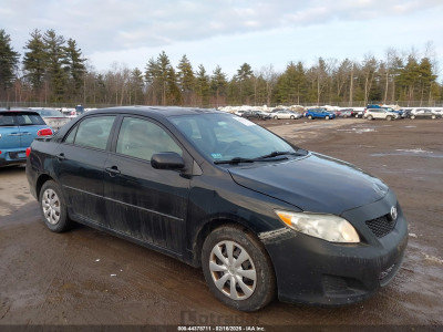 Toyota Corolla 2010 2T1BU4EE6AC266493