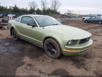 Ford Mustang 2005 1ZVFT80N155135149