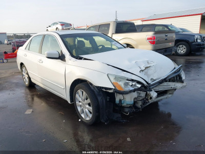Honda Accord 2007 1HGCM66587A024656
