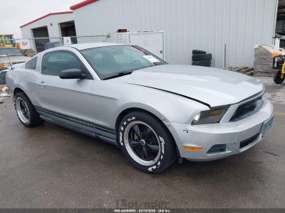 Ford Mustang 2010 1ZVBP8AN8A5152090