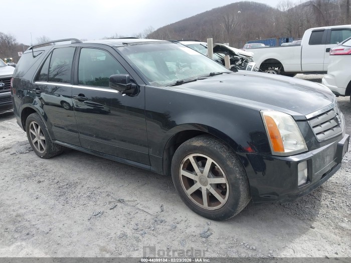 Cadillac Srx 2004 VIN 1GYDE63A340124824