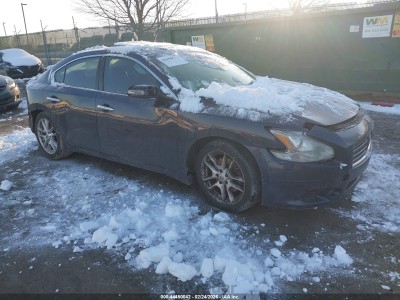 Nissan Maxima 2009 1N4AA51E69C861189