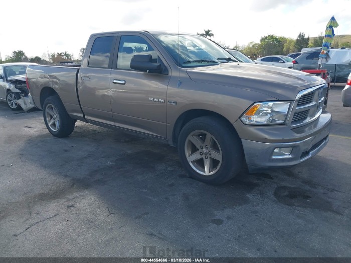 Dodge Ram 2010 VIN 1D7RB1GT4AS206554