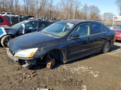 Honda Accord 2007 1HGCM664X7A092741