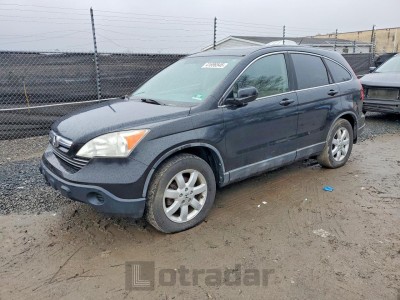 Honda Cr-v 2009 5J6RE48779L005641