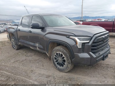 Toyota Tundra 2024 5TFLA5DB8RX144936