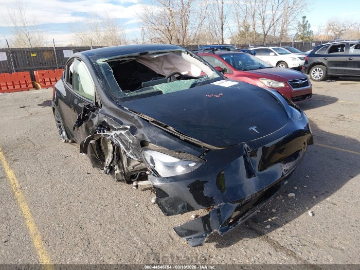 Tesla Model y 2025 VIN 7SAYGDEF9SA336835