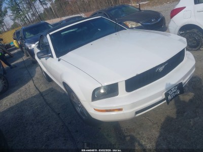 Ford Mustang 2005 1ZVFT84N055259567