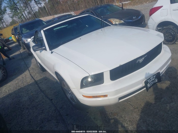 Ford Mustang 2005 VIN 1ZVFT84N055259567