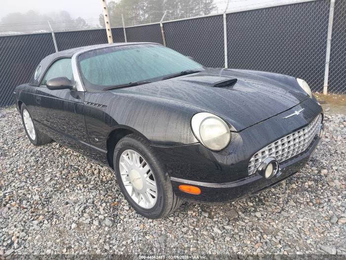 Ford Thunderbird 2003 VIN 1FAHP60A43Y111799