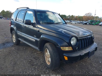 Jeep Liberty (north america) 2006 1J4GL48K96W291293