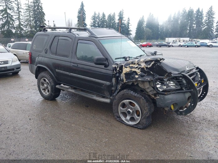 Nissan Xterra 2002 VIN 5N1MD28Y82C528877
