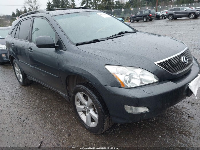 Lexus Rx 2007 VIN 2T2HK31U87C031752