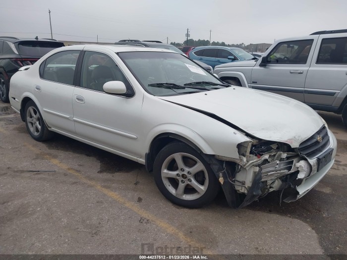 Nissan Maxima 2001 VIN JN1CA31D81T813425