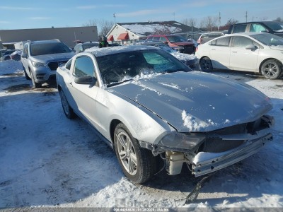 Ford Mustang 2010 VIN 1ZVBP8AN1A5131341