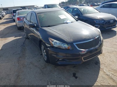 Honda Accord 2011 1HGCP2F36BA093580