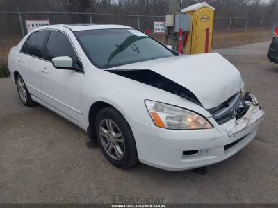 Honda Accord 2007 1HGCM56777A091678