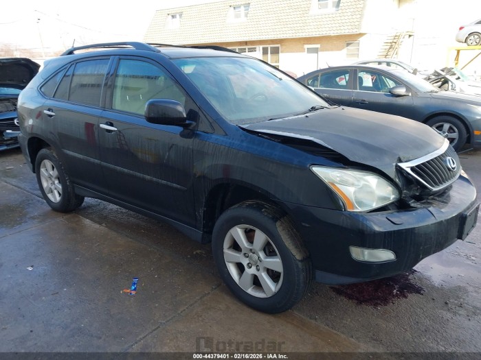 Lexus Rx 2009 VIN 2T2HK31U09C117379