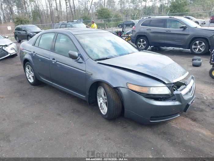 Acura Tl 2006 VIN 19UUA66256A022851
