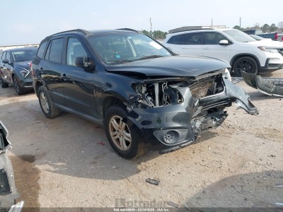 Hyundai Santa fe 2010 5NMSG3AB7AH386259