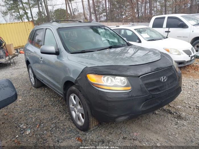Hyundai Santa fe 2009 VIN 5NMSH13E59H299500