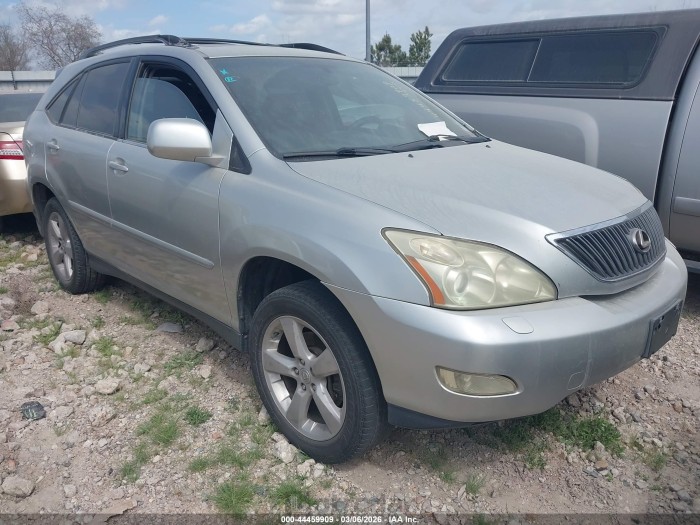 Lexus Rx 2005 VIN JTJGA31U250055049