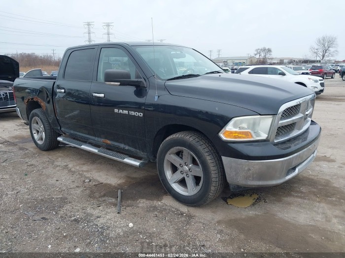 Ram  2011 VIN 1D7RV1CT7BS555447