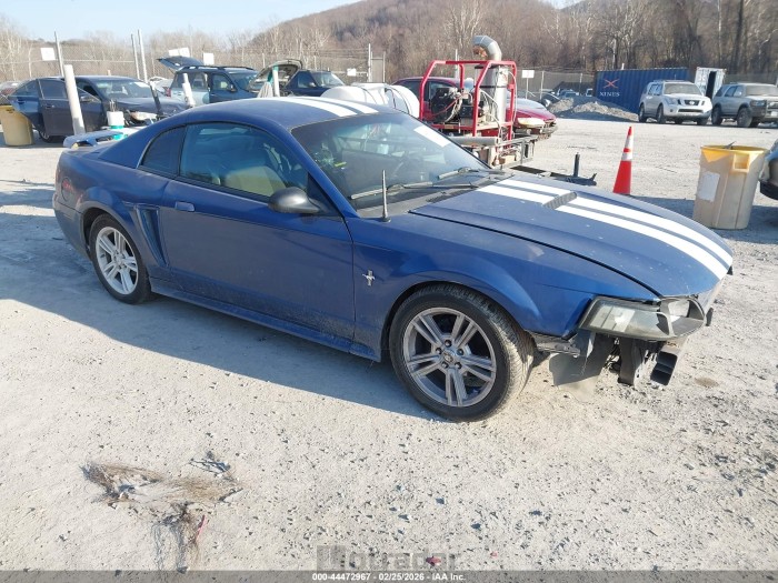Ford Mustang 2003 VIN 1FAFP404X3F357645