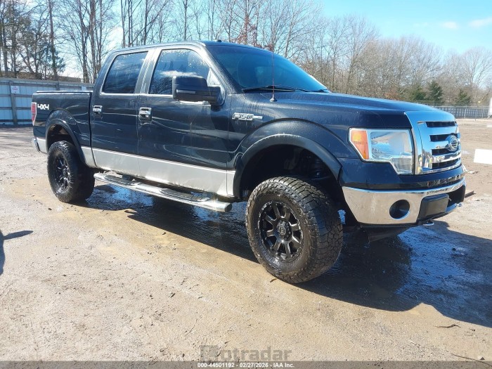 Ford F-150 2010 VIN 1FTFW1EV2AFA25774