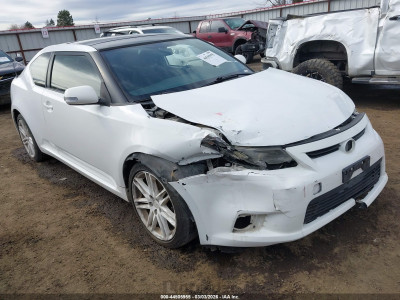 Scion Tc 2011 JTKJF5C70B3002365