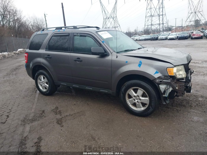 Ford Escape 2010 VIN 1FMCU9DG2AKC45896