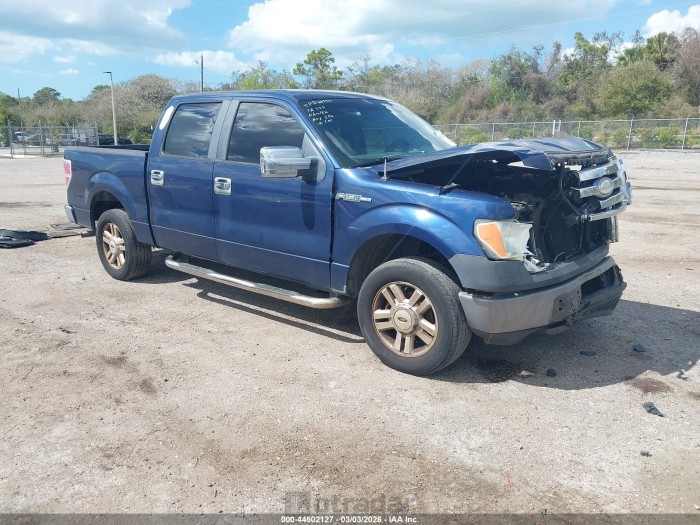 Ford F-150 2009 VIN 1FTRW12889FA08470