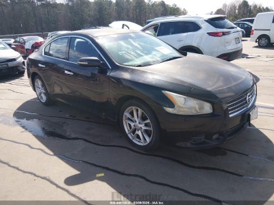 Nissan Maxima 2011 1N4AA5AP2BC869202
