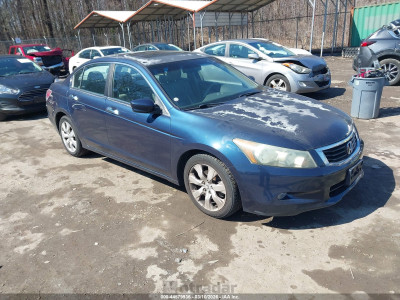 Honda Accord 2010 5KBCP3F80AB010295