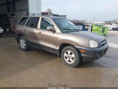 Hyundai Santa fe 2005 KM8SC13D55U957174