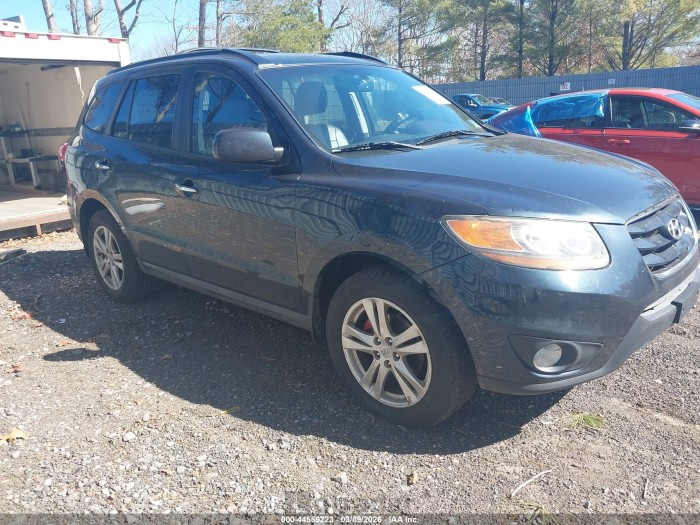 Hyundai Santa fe 2010 VIN 5NMSKDAG7AH340494